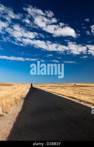 Madagascar, Ilakaka, RN7 national highway, lunga strada vuota allungamento all' orizzonte Foto Stock