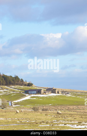 Banca calda Agriturismo vallo di Adriano Northumbria England Regno Unito Gran Bretagna inverno Foto Stock