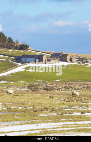 Banca calda Agriturismo vallo di Adriano Northumbria England Regno Unito Gran Bretagna inverno Foto Stock