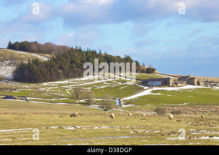 Hot Banca e Banca calda Agriturismo vallo di Adriano Northumbria England Regno Unito Gran Bretagna inverno Foto Stock