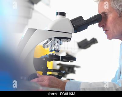 Scienziato usando microscopio in laboratorio Foto Stock