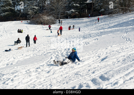 I bambini e le famiglie si divertono con le loro slitte, luminoso e bianco inverno scena il 9 febbraio 2013 sulle colline di Stoccarda Foto Stock