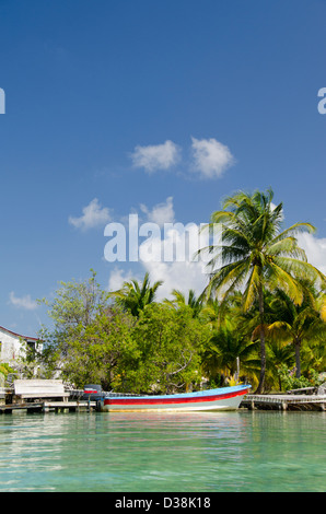 Belize, distretto di Stann Creek, Southwater Cay. Costa Tropicale della piccola isola di Southwater Cay. UNESCO. Foto Stock