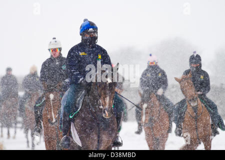 North Yorkshire mercoledì 13 febbraio, 2013. In inverno, Blizzard condizioni su Middleham alta Moor come fantini esercizio di cavalli da corsa da Middleham, Wensleydale, REGNO UNITO Foto Stock