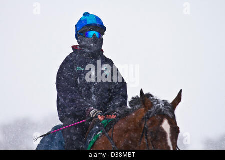 North Yorkshire mercoledì 13 febbraio, 2013. In inverno, Blizzard condizioni su Middleham alta Moor come fantini esercizio di cavalli da corsa da Middleham, Wensleydale, REGNO UNITO Foto Stock