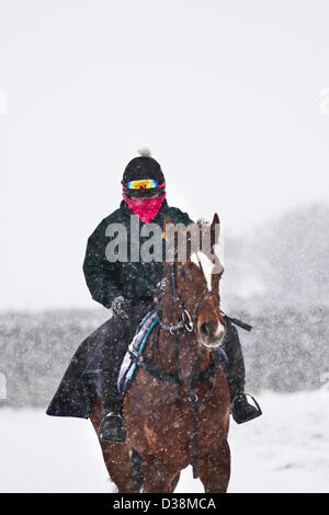 North Yorkshire mercoledì 13 febbraio, 2013. In inverno le condizioni di Blizzard su Middleham alta Moor come fantini esercizio di cavalli da corsa da Middleham, Wensleydale, REGNO UNITO Foto Stock