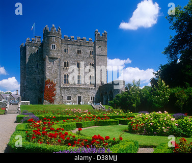 Il castello di Kikea, Castledermot, nella contea di Kildare, Irlanda Foto Stock