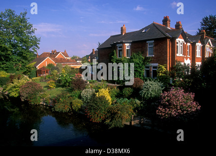 Case lungo il fiume città di Salisbury Wiltshire County Inghilterra Europa Foto Stock