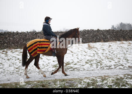 North Yorkshire mercoledì 13 febbraio, 2013. In inverno le condizioni di Blizzard su Middleham alta Moor come fantini esercizio di cavalli da corsa da Middleham, Wensleydale, REGNO UNITO Foto Stock