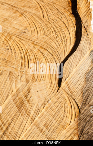 I disegni creati su log tagliato a pezzi in una pila di registro su Wimbledon Common, Londra,UK Foto Stock