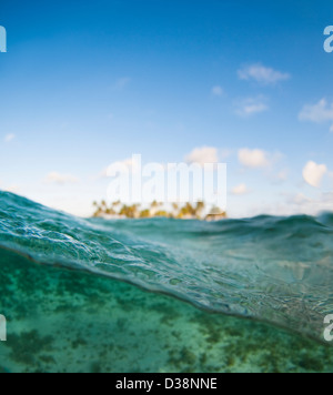 Close up di onde in acque tropicali Foto Stock