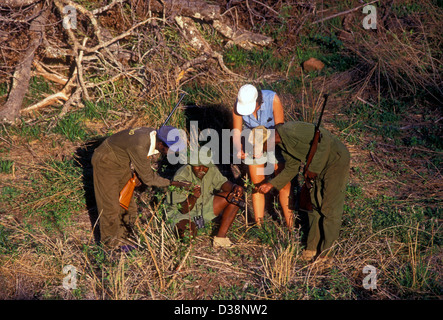 Kenneth Manyangadze, tracking Rinoceronte nero spoor, salvare Valley Wildlife Conservancy, villaggio di Mahenye, Zimbabwe Africa Foto Stock