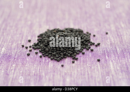 Vista ravvicinata di un mucchio di organico nero lenticchie Beluga su una tovaglia Foto Stock