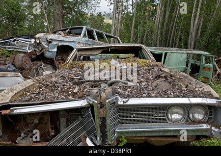 Il cimitero di auto. La speranza. L'Alaska. Stati Uniti d'America Foto Stock