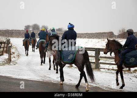 North Yorkshire mercoledì 13 febbraio, 2013. In inverno le condizioni di Blizzard su Middleham alta Moor come fantini esercizio di cavalli da corsa da Middleham, Wensleydale, REGNO UNITO Foto Stock