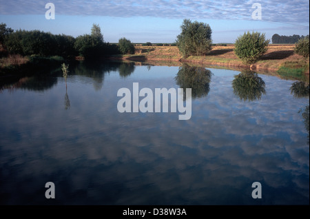 Nuvole riflettono in dewpond con alberi e cespugli, Normandia, Francia Foto Stock