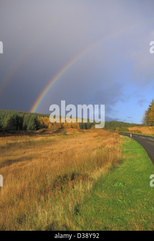 Rainbow su Queen's modo ( A712 ), Galloway Forest Park, Dumfries & Galloway, Scotland, Regno Unito Foto Stock