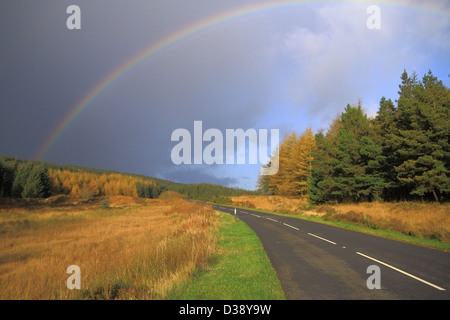 Rainbow su Queen's modo ( A712 ), Galloway Forest Park, Dumfries & Galloway, Scotland, Regno Unito Foto Stock