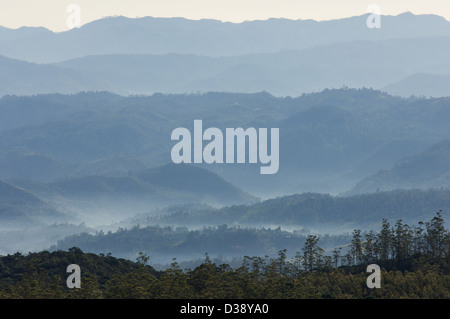 La nebbia che incombe su colline boscose vicino a Horton Plains National Park, vicino a Nuwara Eliya, Sri Lanka Foto Stock