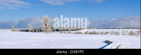 Avvolgimento passerella in legno in coperta di neve la brughiera nella riserva naturale Hautes Fagnes / Hautes Fagnes in inverno, Ardenne, Belgio Foto Stock