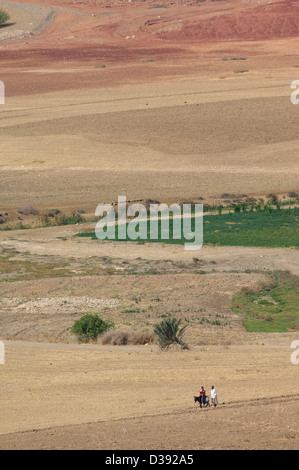 Uomo a cavallo di un asino e parlando con un amico da Nzala el Oudaia vicino Lago di Fez, Marocco Foto Stock