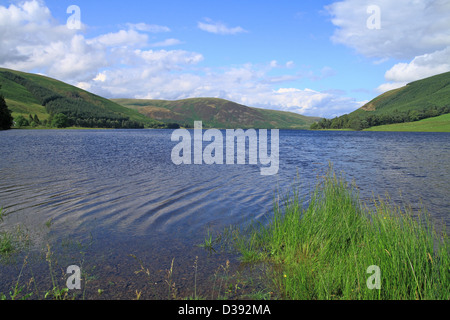 St Mary's Loch, Superiore Yarrow Valley, frontiere, Scotland, Regno Unito Foto Stock