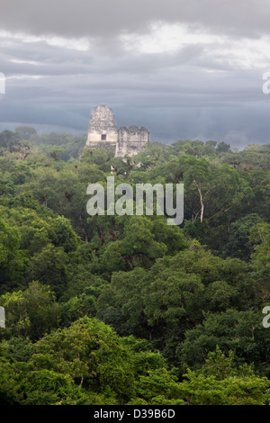 Una vista della bellissima le rovine della città maya di Tikal in giorno moderno Guatemala, America Centrale Foto Stock