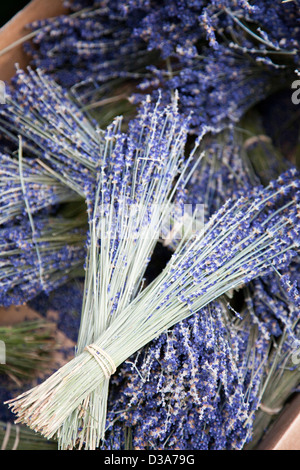 Lavanda essiccata grappoli per la vendita al mercato di Borough - London REGNO UNITO Foto Stock