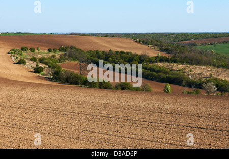 Terreni coltivati in Nord Bulgaria inizio stagione primavera pronto per le colture Foto Stock