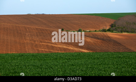 Terreni coltivati in Nord Bulgaria inizio stagione primavera pronto per le colture Foto Stock