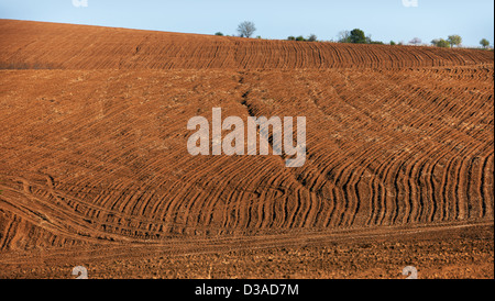 Terreni coltivati in Nord Bulgaria inizio stagione primavera pronto per le colture Foto Stock