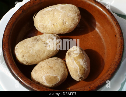 Papas arrugadas (patate bollite in acqua salata) è piatto tipico di Tenerife, Isole Canarie Foto Stock