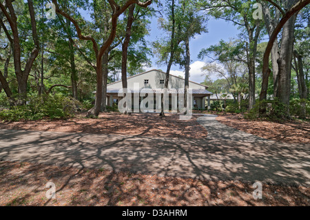 Il Charleston Tea Plantation si trova sulla storica Wadmalaw isola nel cuore del Lowcountry della Carolina del Sud. Foto Stock