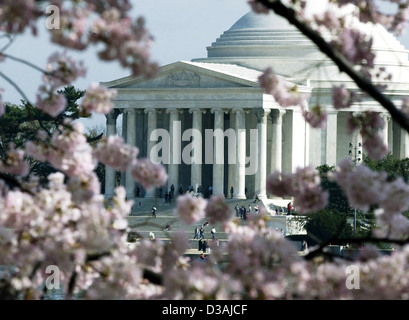 Thomas Jefferson Memorial in Cherry Blossoms Washington DC, Stati Uniti d'America, Thomas Jefferson un americano Padre Fondatore, terzo presidente Foto Stock