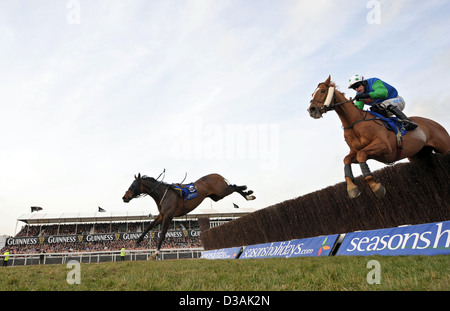 Cavalli saltare un recinto durante il festival di Cheltenham un annuale horse racing event in Inghilterra Foto Stock