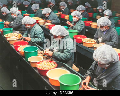 Donne lavoratori manuali nel dado impianto di lavorazione Foto Stock