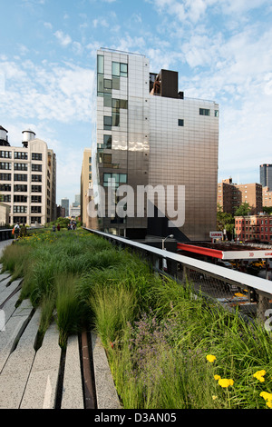 Highline Park fotografie nel distretto di indumento, Chelsea, Manhattan NYC, STATI UNITI D'AMERICA Foto Stock