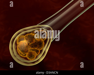 Rendering 3d il concetto di biotecnologia con pre-embrione Foto Stock