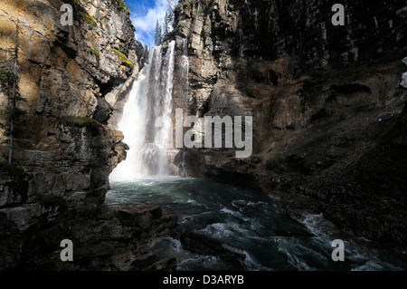 Cascata cade whitewater Johnston Creek Canyon Johnston Bow Valley Parkway il Parco Nazionale di Banff Alberta Canada Foto Stock