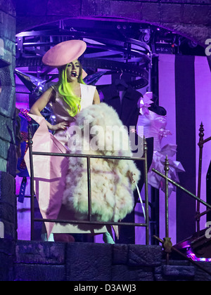 LADY GAGA esegue presso Air Canada Centre di Toronto come parte del suo "nato in questo modo la sfera Tour 2013". Febbraio 8, 2013. Foto Stock