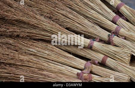 Indian erba spazzole reed. Indiana tradizionale spazzola di spazzamento realizzato per la vendita in un territorio rurale villaggio indiano. Andhra Pradesh, India Foto Stock