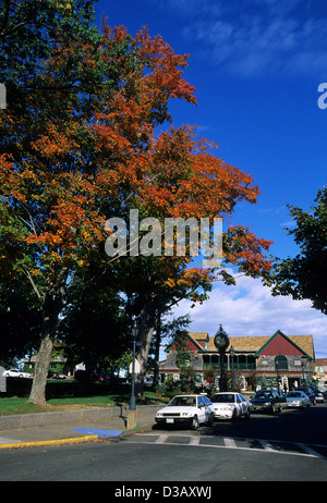 Elk282-1759v Maine, isola di Mount Desert, Bar Harbor, Villaggio Verde con fogliame di autunno Foto Stock