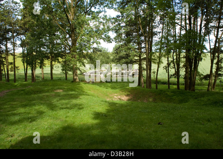 Sheffield Memorial Park e dalla stazione ferroviaria cava cimitero britannico sulle somme di ricordare la battaglia del 1 luglio 1916 Prima Guerra Mondiale Foto Stock