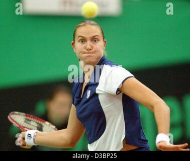 (Dpa) - Russo tennista Nadia PETROVA si concentra sulla sfera prima di un ritorno durante il torneo internazionale di tennis a Leipzig, Germania, 25 settembre 2003. Ha vinto il round di 16 match contro la Germania Anna-Lena Groenefeld 3-6, 6-1 e 6-4. Foto Stock