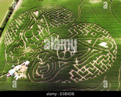 (Dpa) - Una veduta aerea di un campo di mais che è sagomata come un labirinto gigante in una fattoria Jersebek, Germania, 23 luglio 2003. I visitatori possono entre il labirinto e trovare il giusto modo per uscire fino al 14 settembre 2003. Le colture sono alti quanto gli esseri umani che rende l'esperienza ancora più uscire. Comfort e rinfreschi Foto Stock