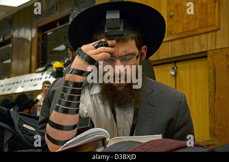 Religiosa ebraica uomo che prega indossando Tefillin, phylacteries, a Lubavitch sede a Brooklyn, New York Foto Stock