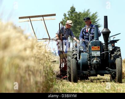 (Dpa) - gli agricoltori Dirk (R) e Helmut Luetkemeier falciare il loro campo con una storica Lanz Bulldog mietitrebbia vicino Buende, Germania orientale, 21 luglio 2003. Il trattore risalente al 1938 è stato originariamente tirato da due cavalli, ma oggi i due agricoltori preferiscono utilizzare il loro vecchio trattore. La Lanz Bulldog mows t Foto Stock