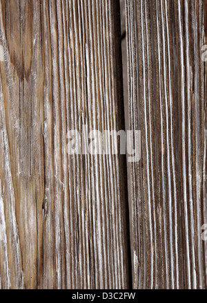 SUN legno sbiancato sfondo Foto Stock