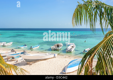 Spiaggia di isola Gran Roque dal di sopra, Venezuela Foto Stock