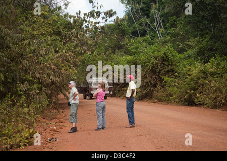 La foresta pluviale Iwokrama; una fermata lungo solo nord-sud arteria stradale attraverso la Guyana. Accesso da Georgetown, Lindon a Lethem. Foto Stock